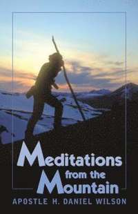 bokomslag Meditations from the Mountain
