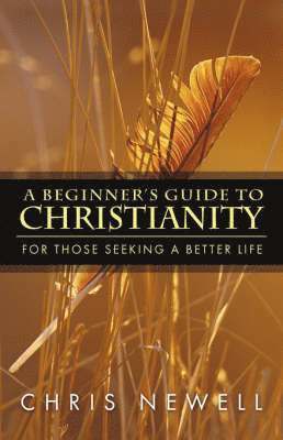 A Beginner's Guide to Christianity 1