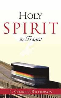 bokomslag Holy Spirit in Transit