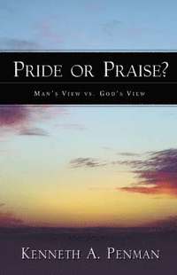bokomslag Pride or Praise?