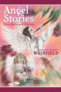 bokomslag Angel Stories