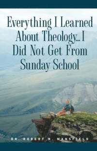 bokomslag Everything I Learned About Theology