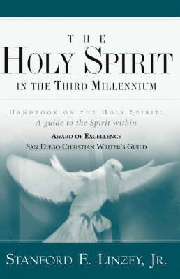 bokomslag Holy Spirit in the Third Millennium