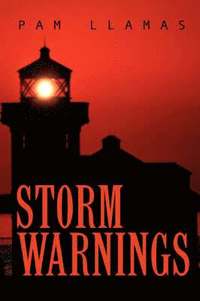 bokomslag Storm Warnings