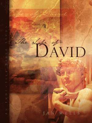 bokomslag Life of David
