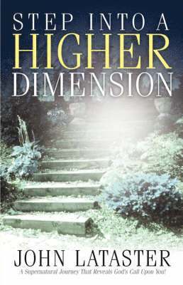 bokomslag Step Into A Higher Dimension