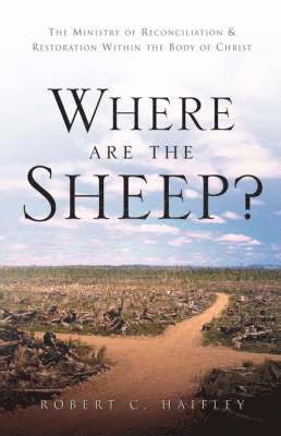 Where Are the Sheep? 1