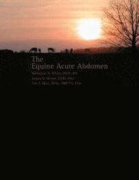 bokomslag Equine Acute Abdomen