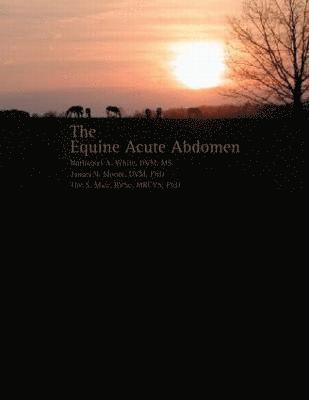 Equine Acute Abdomen 1