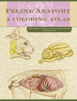 Thomas O. McCraken, Robert A. Kainer, David Carlson, Anna Dee Fails - Feline Anatomy, Häftad