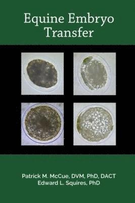 bokomslag Equine Embryo Transfer