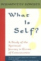 bokomslag What is Self?