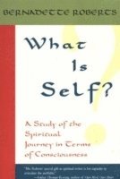 bokomslag What is Self?