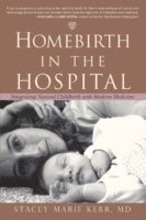 bokomslag Homebirth in the Hospital
