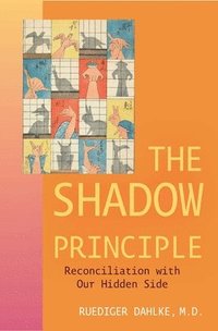 bokomslag Shadow Principle