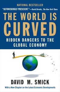 bokomslag The World Is Curved: Hidden Dangers to the Global Economy