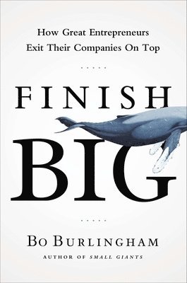 bokomslag Finish Big