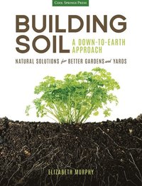 bokomslag Building Soil: A Down-to-Earth Approach