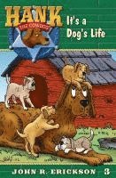 It's A Dog's Life 1