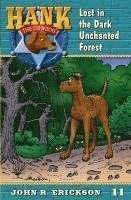 Lost in the Dark Unchanted Forest