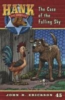bokomslag The Case of the Falling Sky