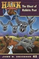 bokomslag The Ghost of Rabbits Past