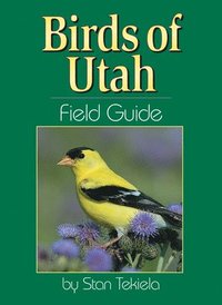bokomslag Birds of Utah Field Guide