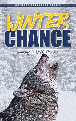 bokomslag Winter Chance