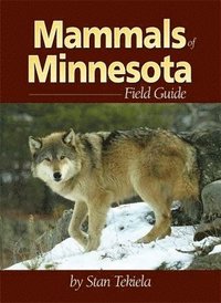 bokomslag Mammals of Minnesota Field Guide