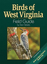 bokomslag Birds of West Virginia Field Guide