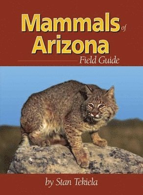 bokomslag Mammals of Arizona Field Guide