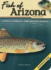 bokomslag Fish of Arizona Field Guide