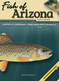 bokomslag Fish of Arizona Field Guide