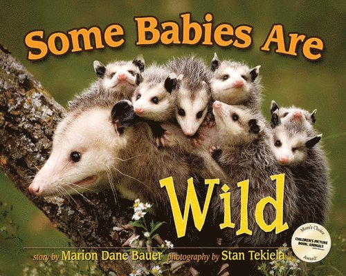 Some Babies Are Wild 1