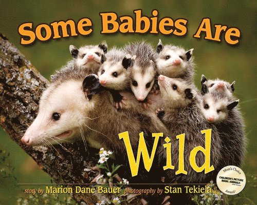 Marion Dane Bauer - Some Babies Are Wild, Inbunden