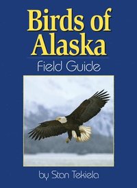 bokomslag Birds of Alaska Field Guide