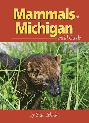 bokomslag Mammals of Michigan Field Guide