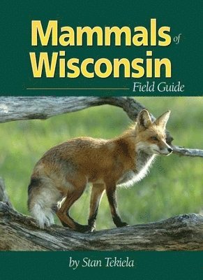 bokomslag Mammals of Wisconsin Field Guide