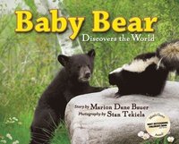 bokomslag Baby Bear Discovers the World