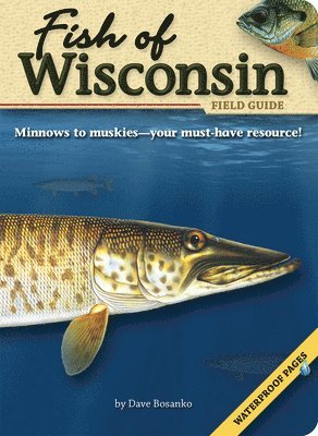 bokomslag Fish of Wisconsin Field Guide