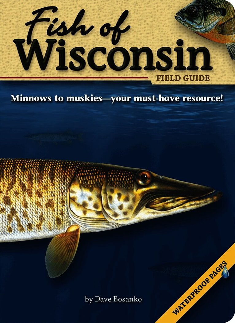 Fish of Wisconsin Field Guide