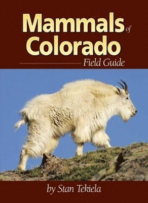 Mammals of Colorado Field Guide 1