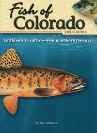 bokomslag Fish of Colorado Field Guide