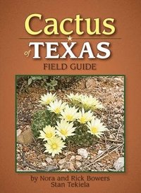 bokomslag Cactus of Texas Field Guide