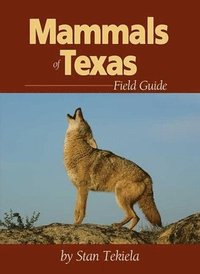 bokomslag Mammals of Texas Field Guide