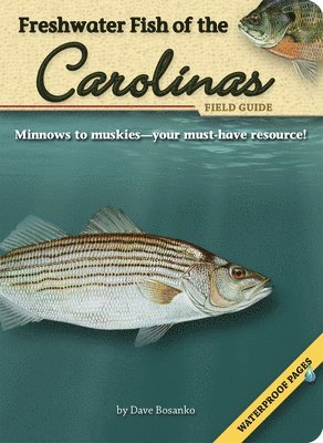 bokomslag Freshwater Fish of the Carolinas Field Guide