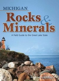 bokomslag Michigan Rocks & Minerals