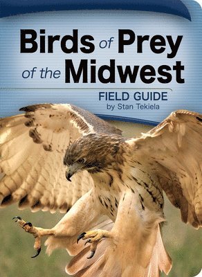 bokomslag Birds of Prey of the Midwest Field Guide