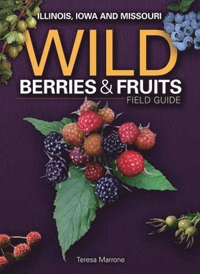 bokomslag Wild Berries & Fruits Field Guide of Illinois, Iowa and Missouri