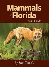 bokomslag Mammals of Florida Field Guide